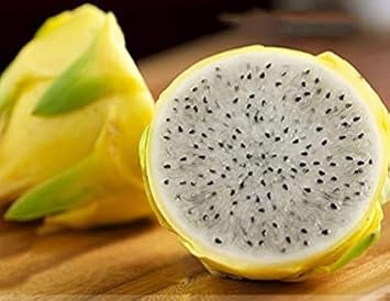 Yellow Melon Fruit Seeds - Sweet and Refreshing Melon for Your Garden